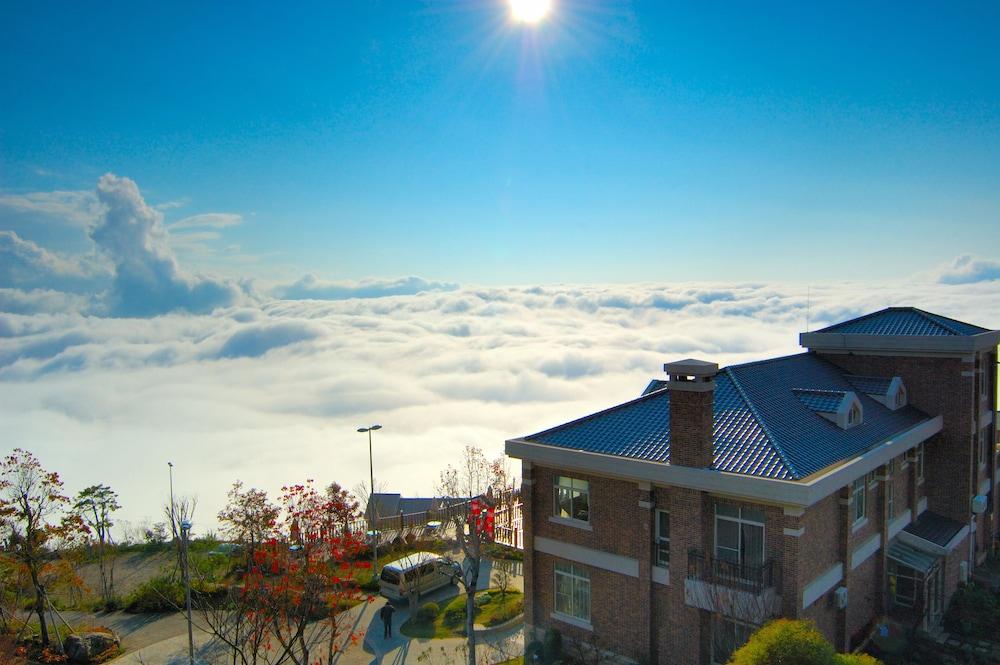 Ming Ging Farm Aerial View