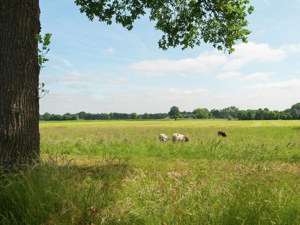 Quaint Farmhouse in Waskemeer near Forest Exterior