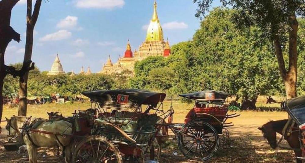 باجان إتش إم دبليو إي هوتل المنطقة المحيطة بالمنشأة