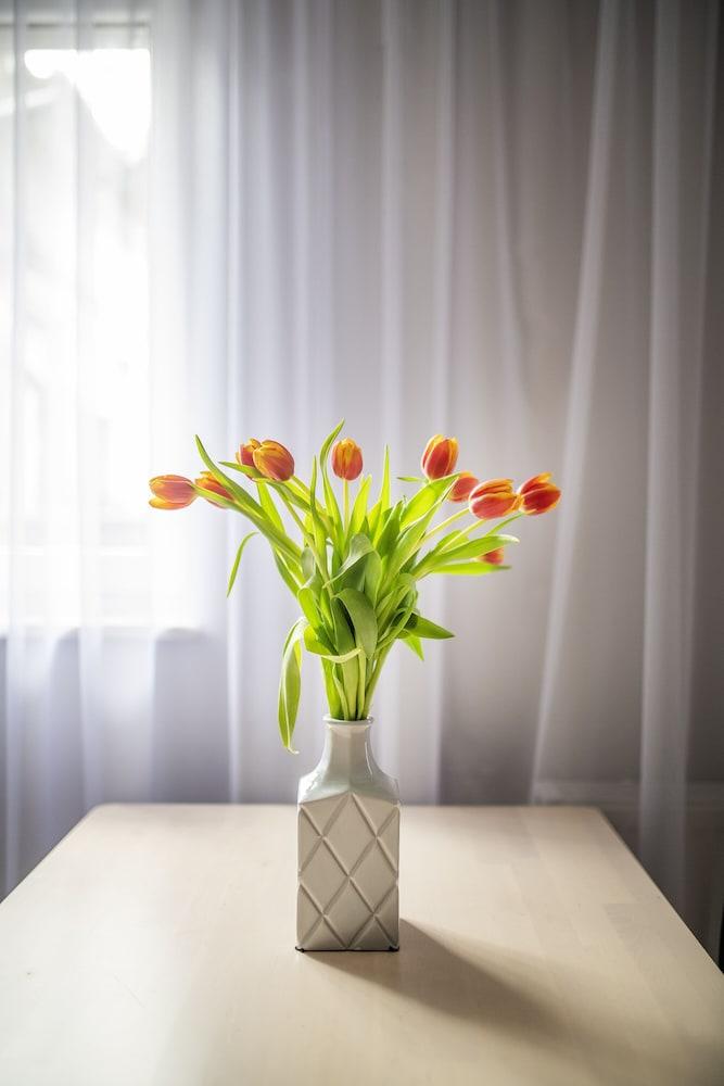 إيزي رينت أبارتمنتس - جوستو غرفة