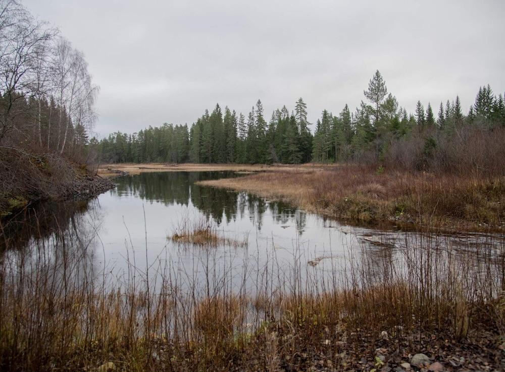 4 ستار هوليداي هوم إن جريثيتان باي تراوم المنطقة الخارجية