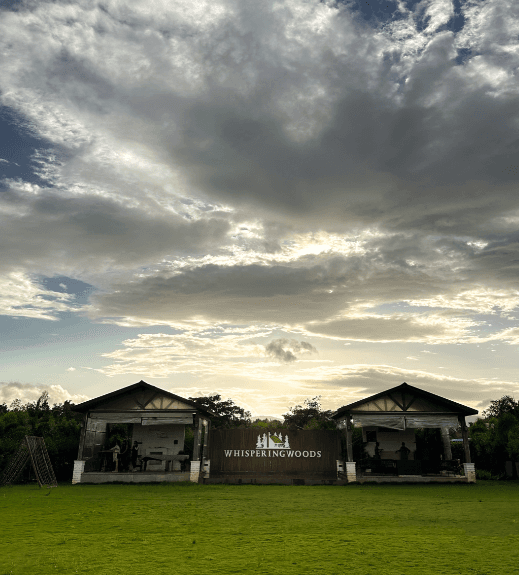 Whispering Woods