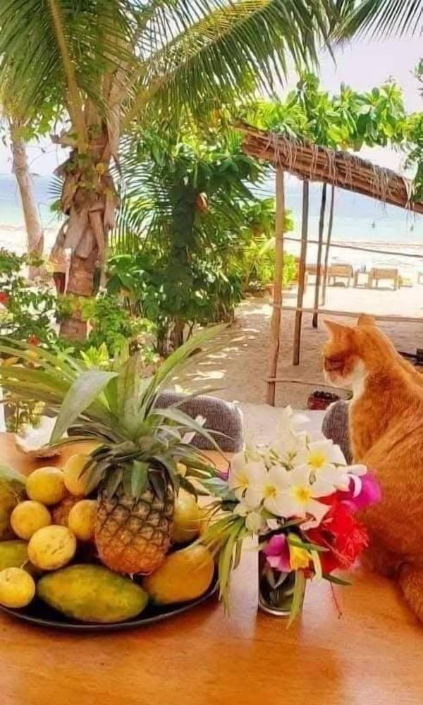 سيبانو بيتش لودج كيوينغوا المنطقة الخارجية