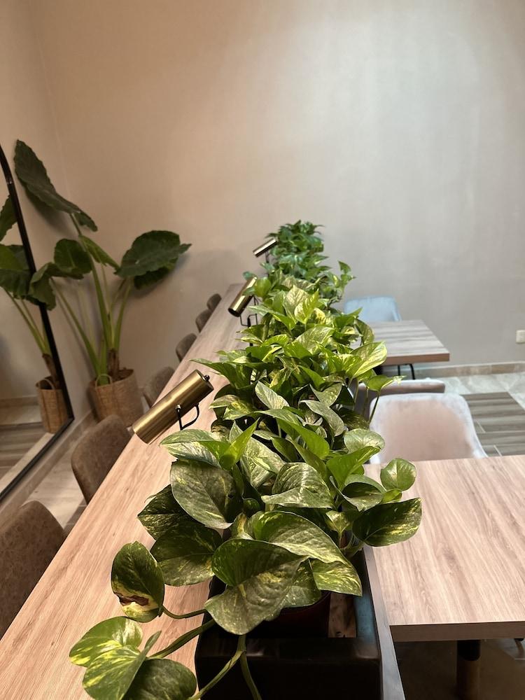 Dos Patios Querétaro Curamoria Collection Lobby Lounge