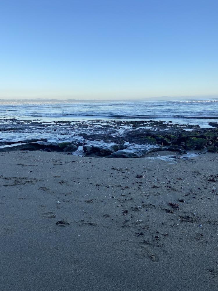 ذا بوردووك بيتش هاوس الشاطئ