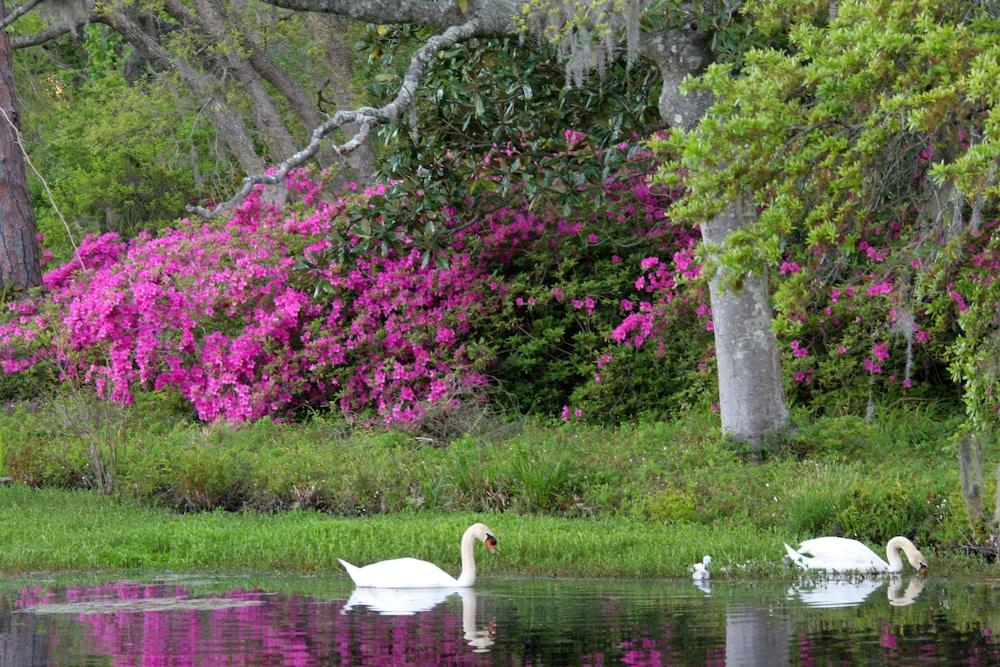 هيلتون جاردن إن ويلمينجتون مايفير المنطقة الخارجية