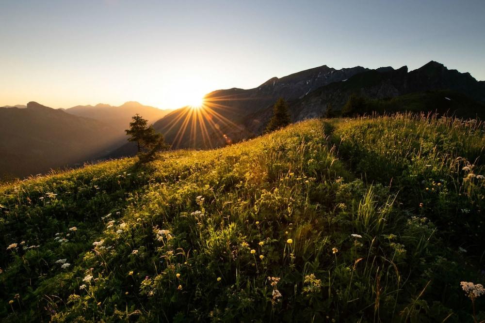 بيل أبارتمنت أو سنتر دي تشامبري أفيك فوي المنطقة المحيطة بالمنشأة