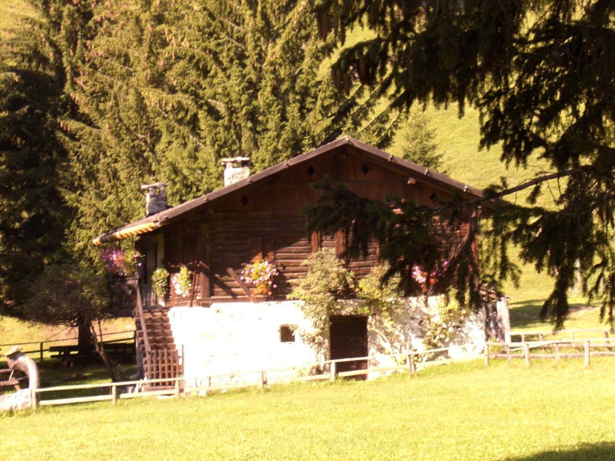 Albergo Alpino Others