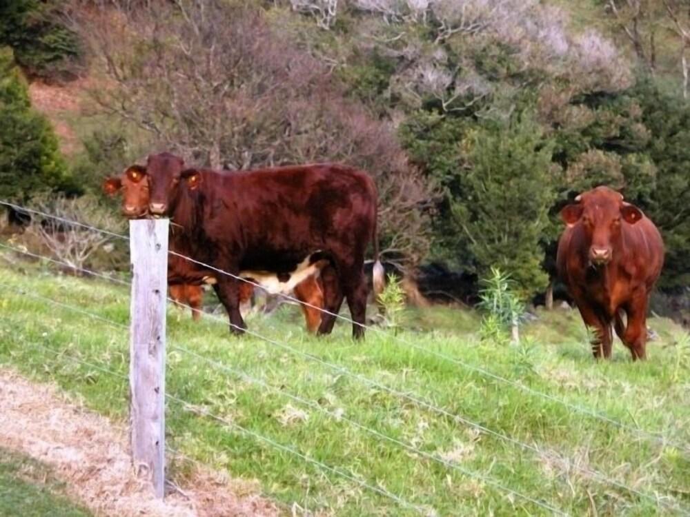 توب أوف ذا هيل المنطقة المحيطة بالمنشأة