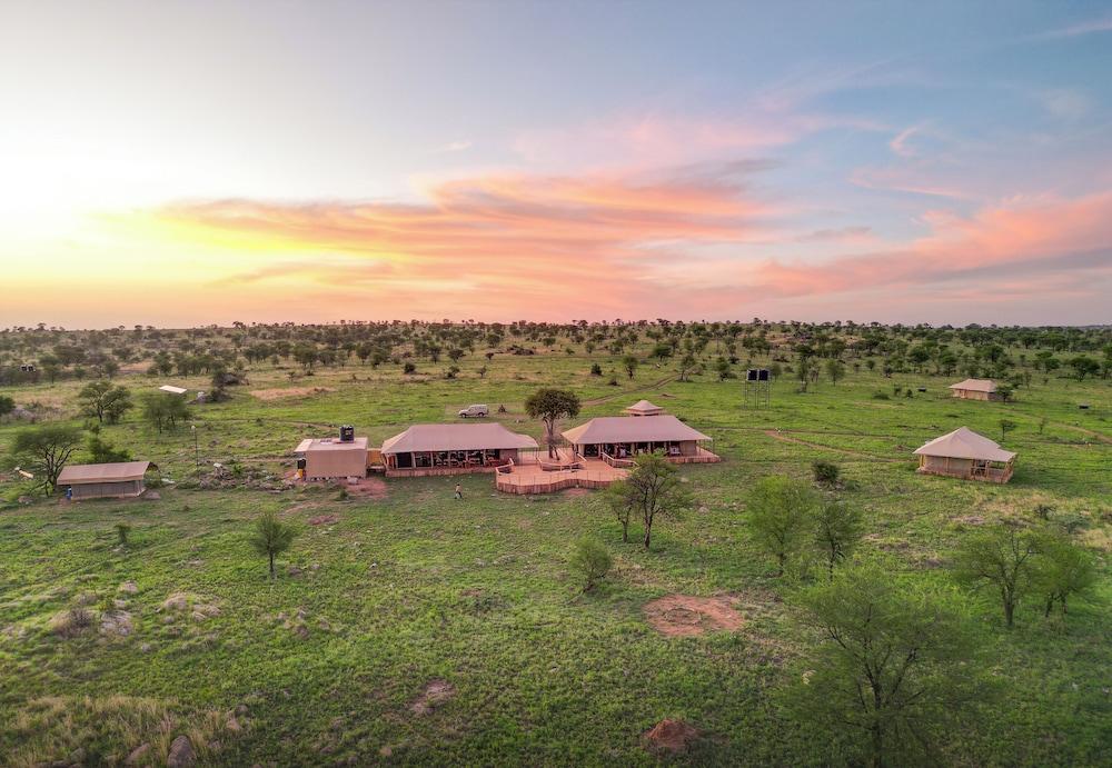 مالايكا لاكشري كامب سيرونيرا سيرينجيتي المنطقة الخارجية