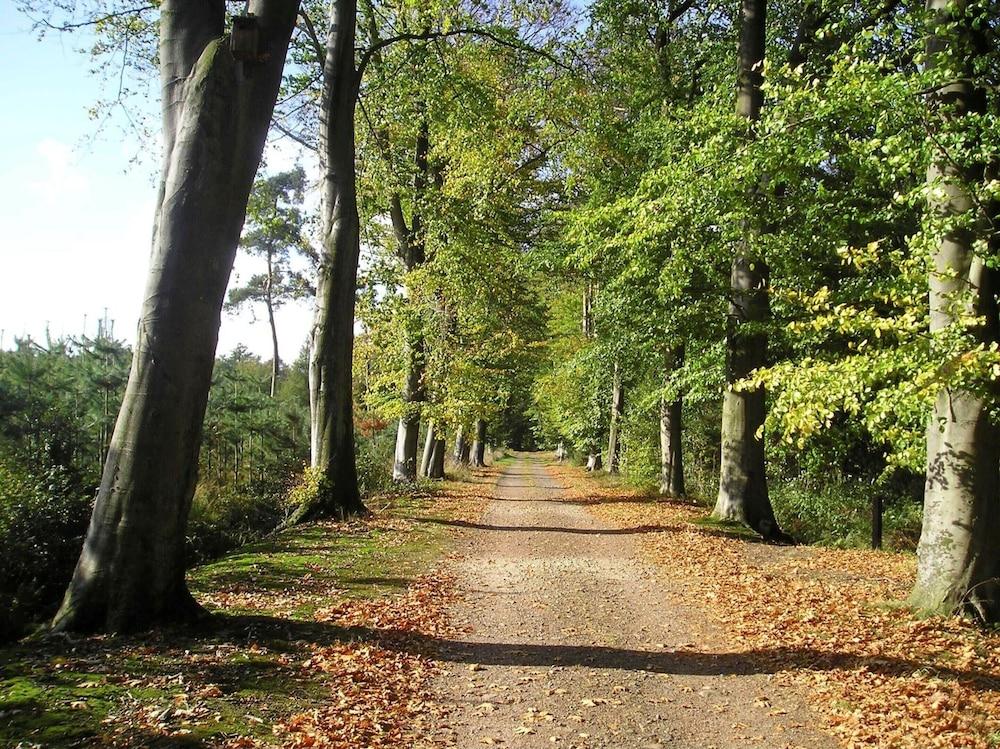 تراديشيونال ستايلي فيلا آت باد بينثيم المنطقة الخارجية