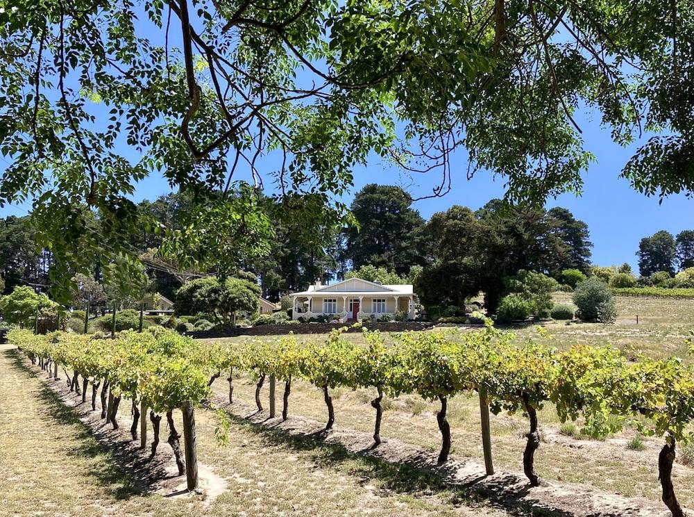 كاراواثا كوتيجيز بيد آند بريكفاست