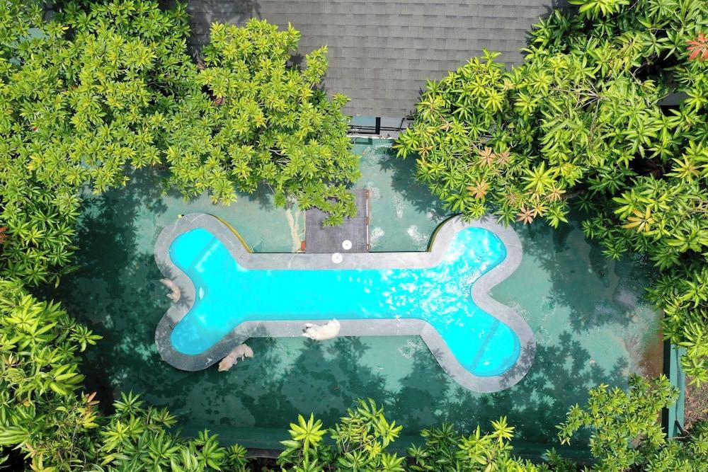 Anchaviyo By Zuper Exterior