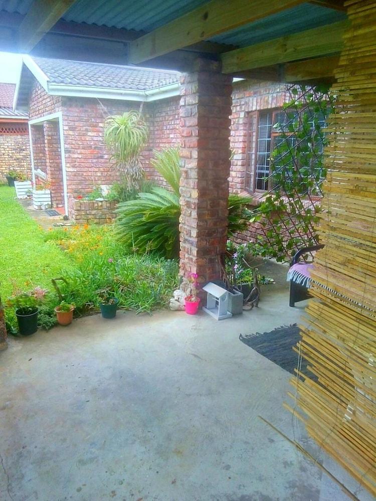 Studio 550m From Beach Bokesstrand pet Friendly Exterior