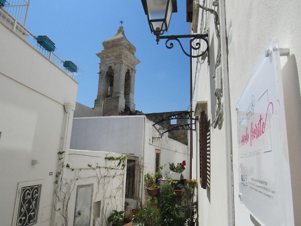 فيكولو فيوريتو بد آند بريكفاست