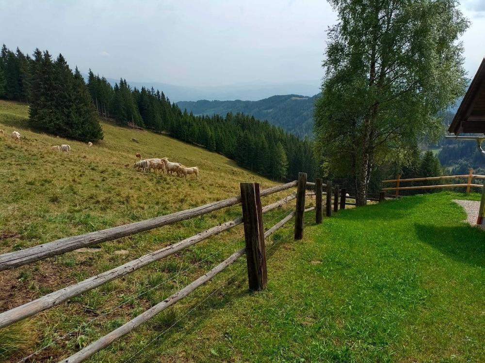 ألباين هاوس إن بربل نير كليبيتزتورل سكاي أريا المنطقة الخارجية