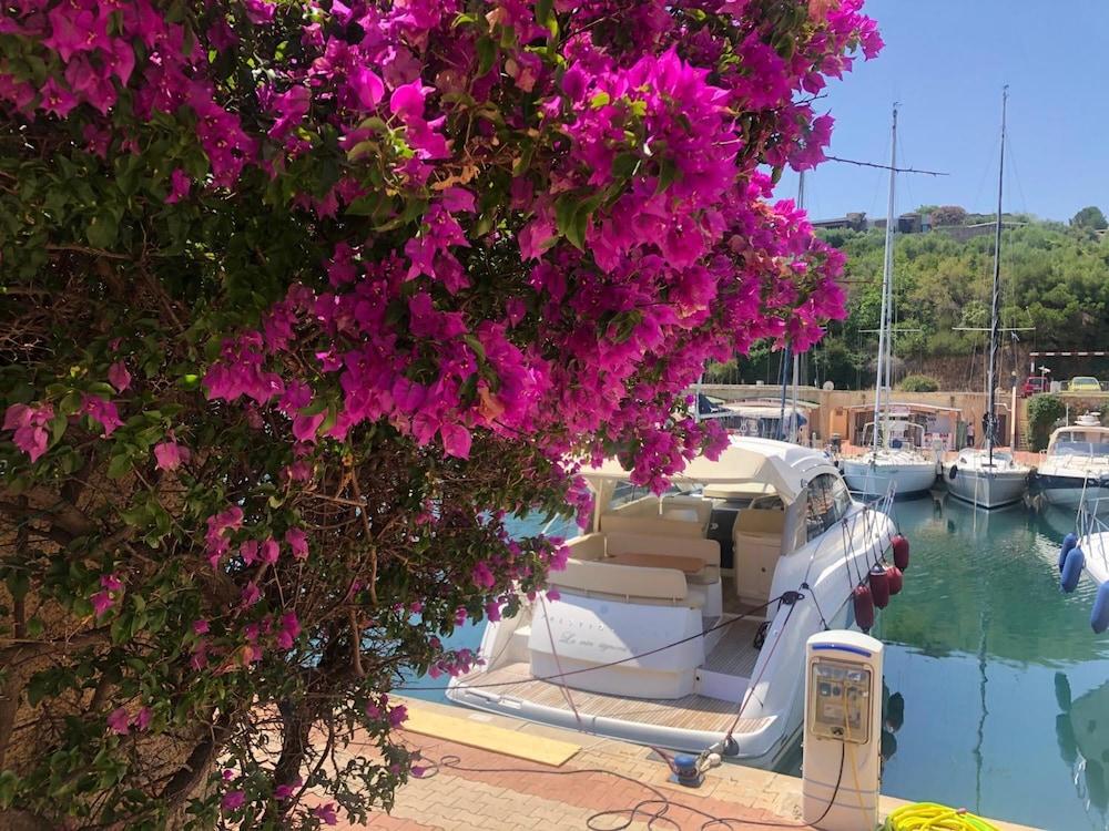 Le Sirene Property Grounds