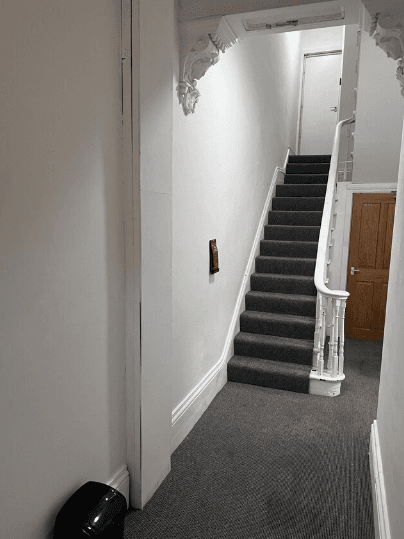 أويو لابيرينث باي هابيتات101 أخرى