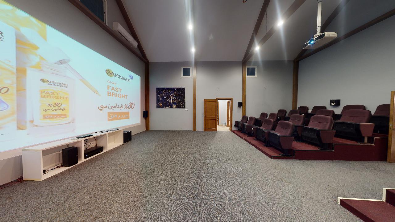 Elegant Chalet with Grass Lawn | 129 Cinema room