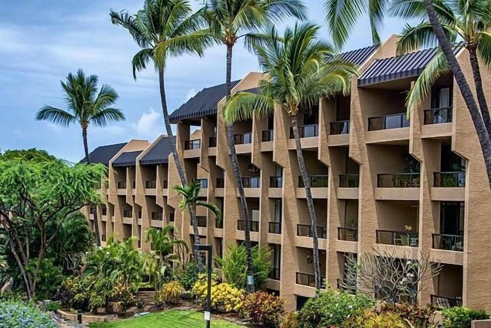 كونا باسيفيك بي 409 المنطقة الخارجية