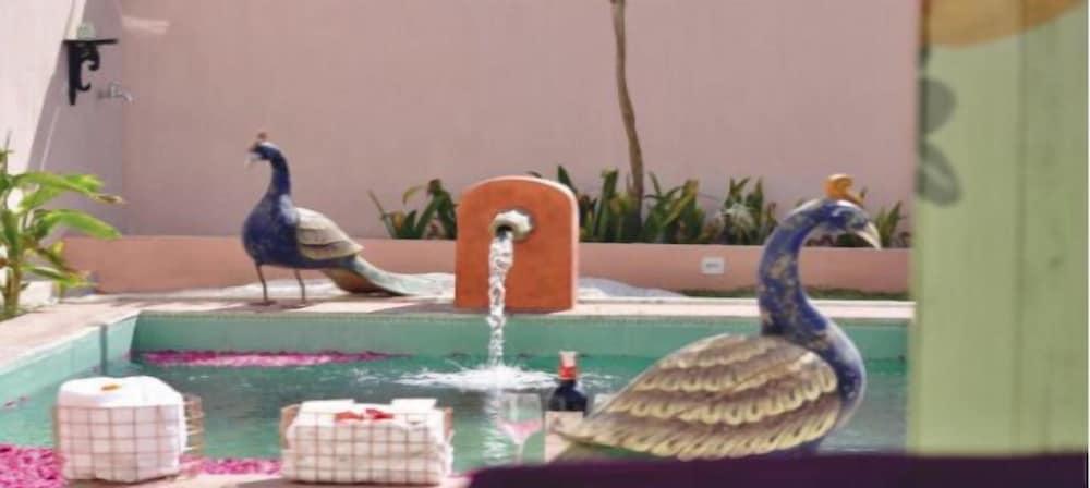 باريجات برايفت بول فيلابه 1ب7ي يبهانباد هو اينيكي زحليقة مائية