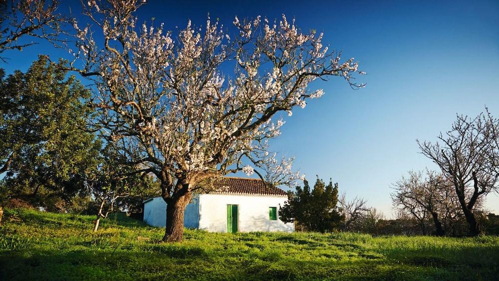 فال دوليفيراس كوينتا ريزورت آند سبا المنطقة الخارجية