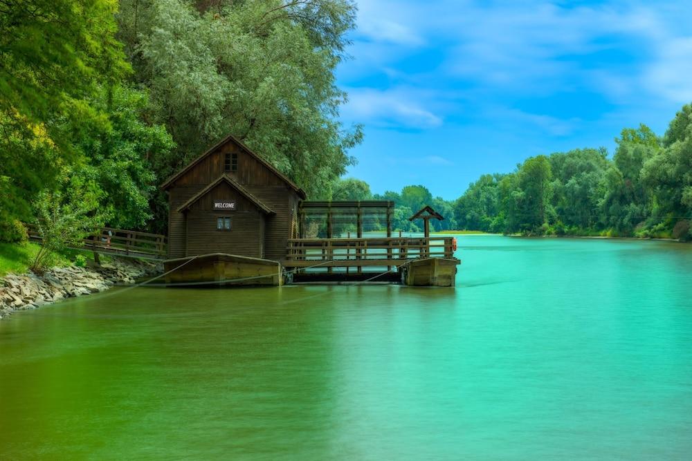 ليدي بج هاوس ويذ ويرلبول المنطقة الخارجية