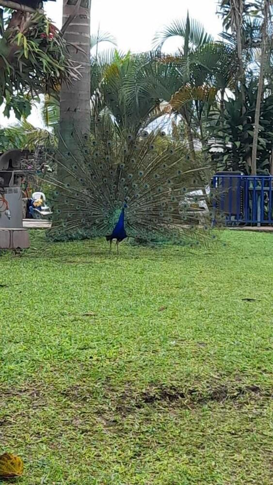 فينكا هوتل لا بيرلا المنطقة الخارجية