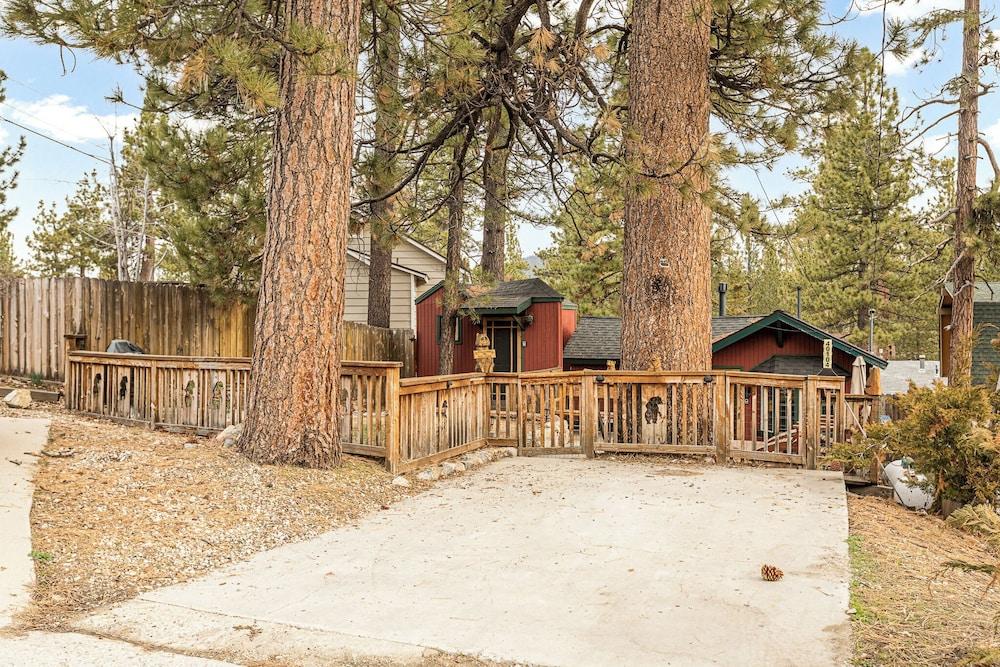 باك بير كوزي كابين إيه بيرفيكت كبلز ريتريت! المنطقة المحيطة بالمنشأة