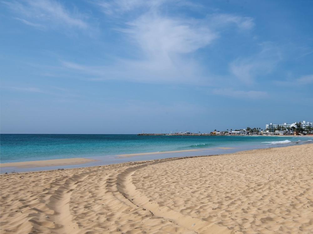 ساندرز فلوريدا - سويت 1 بد داو ايبارت ويذ سي فيو المنطقة الخارجية