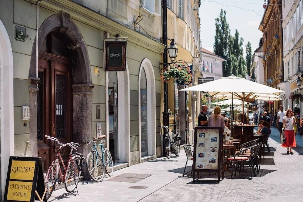 إيه ي جوبلجانا ذا برينسيس كاسل تريبليكس المنطقة الخارجية