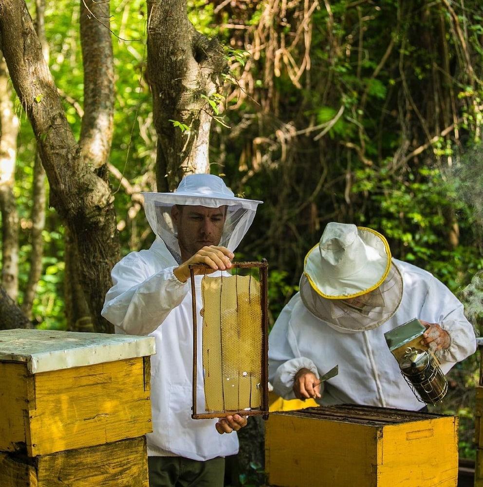 إيه بيرل إن لوس كوراليس بلايا بافارو بونتا كانا المنطقة الخارجية
