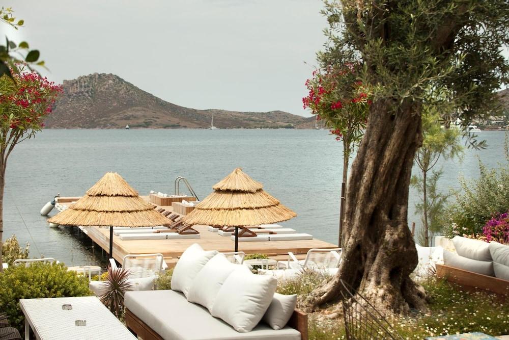 بوهو هوتل - للبالغين فقط المنطقة المحيطة بالمنشأة