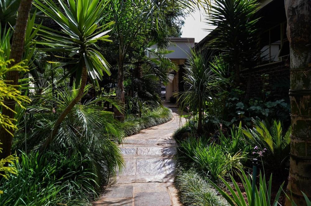 إيجل روك إكزكيوتيف جيست هاوس المنطقة المحيطة بالمنشأة