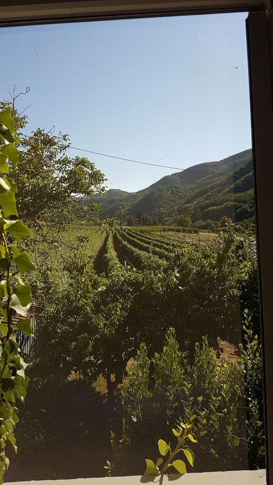 روو ا ان ب آند بي - ٓمر ر رتكوزور 2021 ب جاكوتزيسويت بساونا المنطقة الخارجية