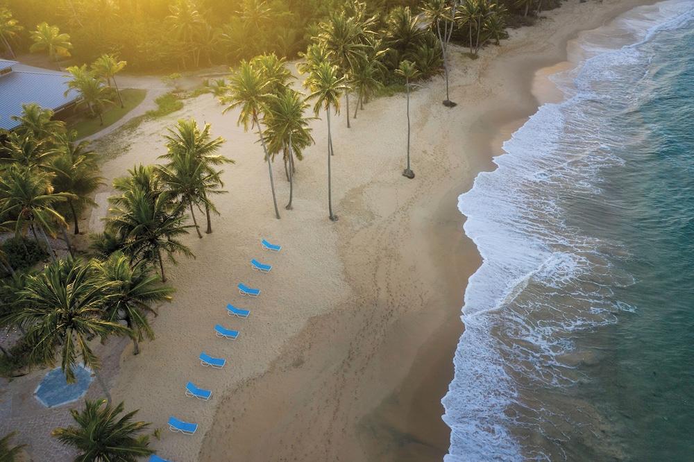 حياة فاكيشن كلوب في هاسيندا ديل مار، دورادو منظر من الجو