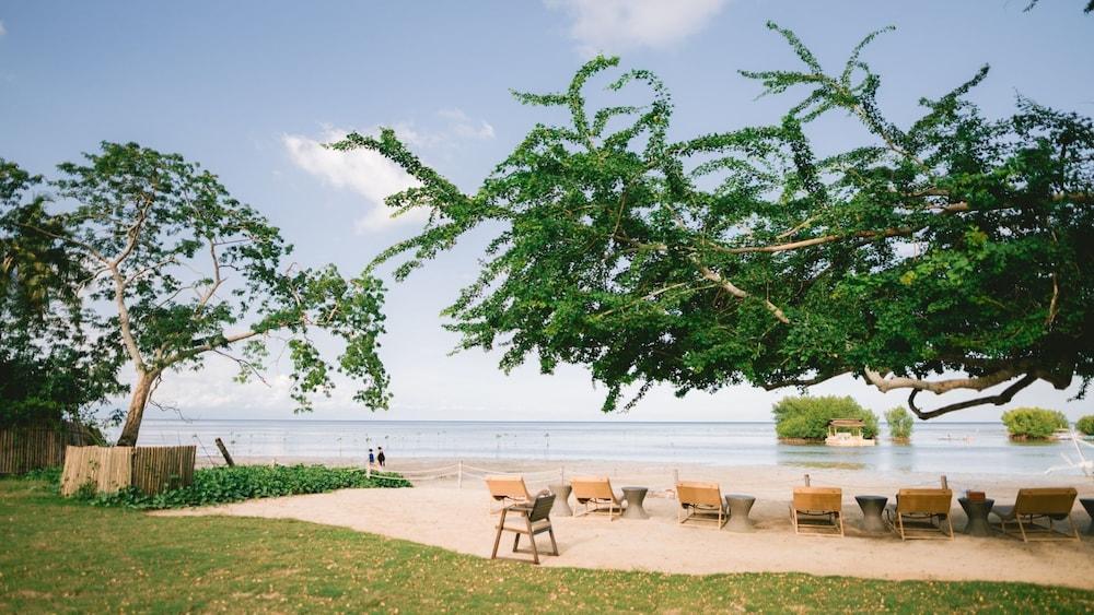 ذا فاني لايون - بويرتو برينسيسا المنطقة الخارجية