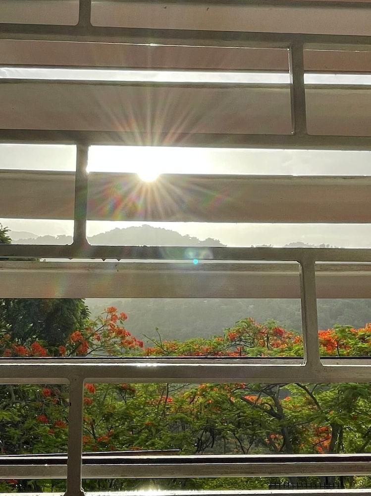 نيتاز نيست - جامايكان بيد آند بريكفاست غرفة