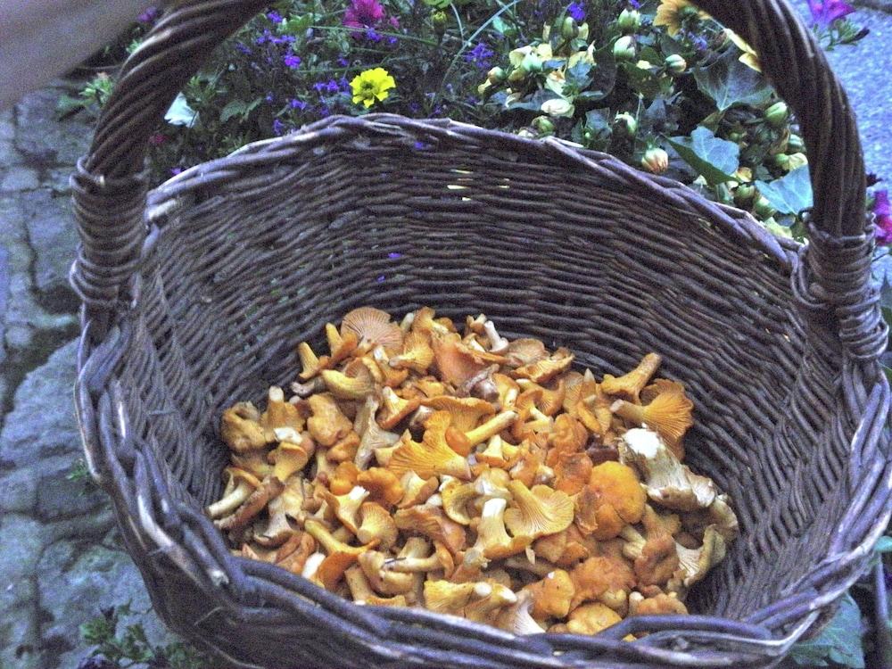 ميلاير جاردن فاميلي هوم تفاصيل الفندق من الداخل