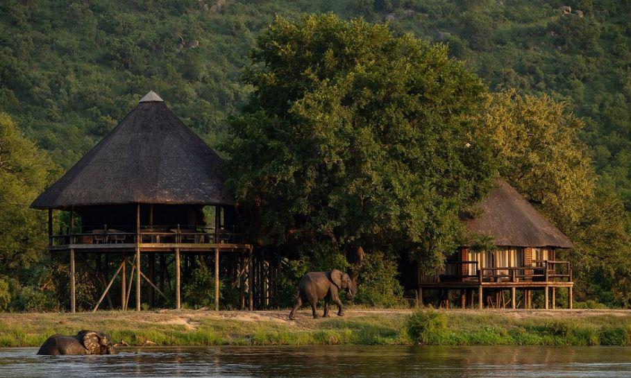 Ulusaba Safari Lodge Featured Image