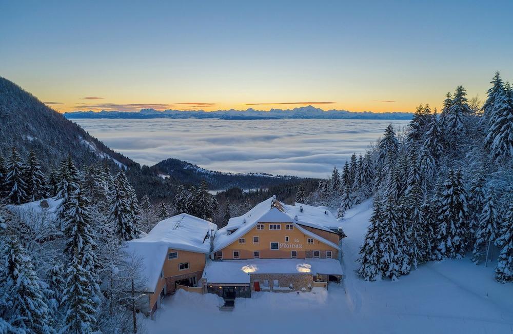 شاليه أوتل لا مينا ريستورانت آند ريزورت