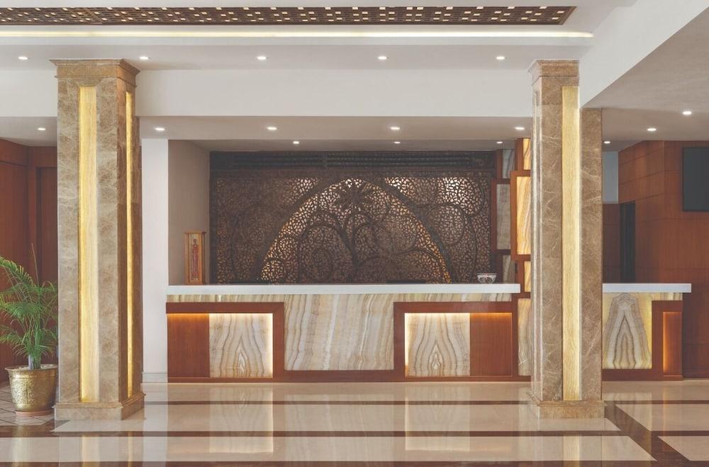 هوتل جريب فاين