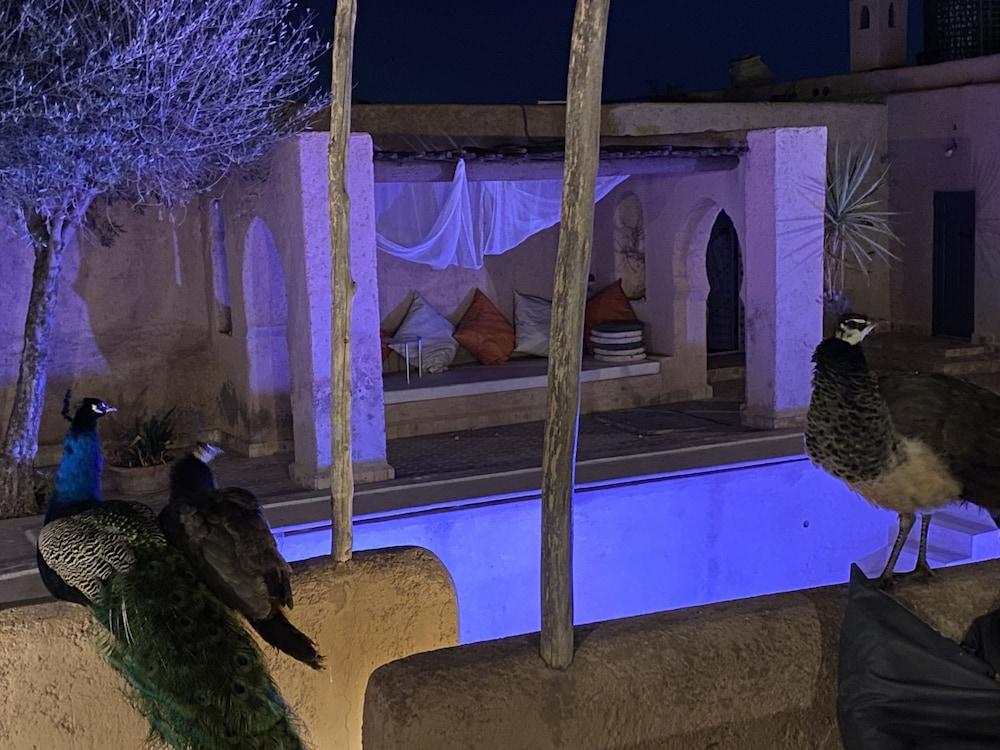 مسكن في مراكش به 6 الأسرّة بطابع بربري أصيل الصورة الأساسية