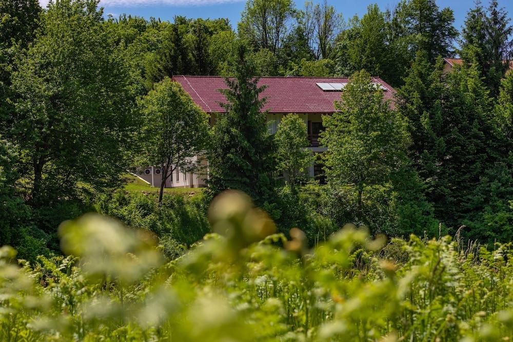 بي آند بي رين سيرينيتي بليتفيس ليكس المنطقة الخارجية