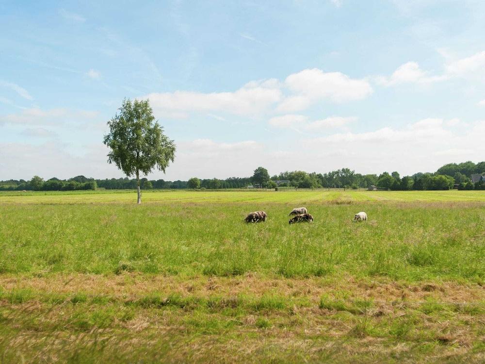 Quaint Farmhouse in Waskemeer near Forest Exterior