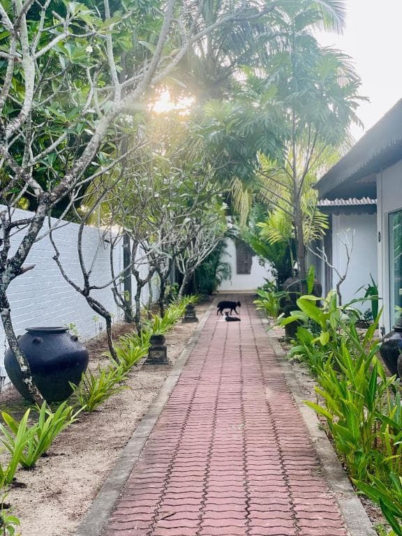 Attitude Resort Langkawi Others