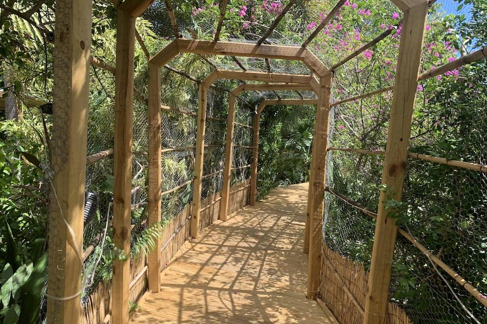 ذا سيكريت جاردن - ذا كوتيدج نير بيتش، شوبس، ريستورانتس، بيت فريندل، كلوس تو لوسيرن أفيي! المنطقة الخارجية