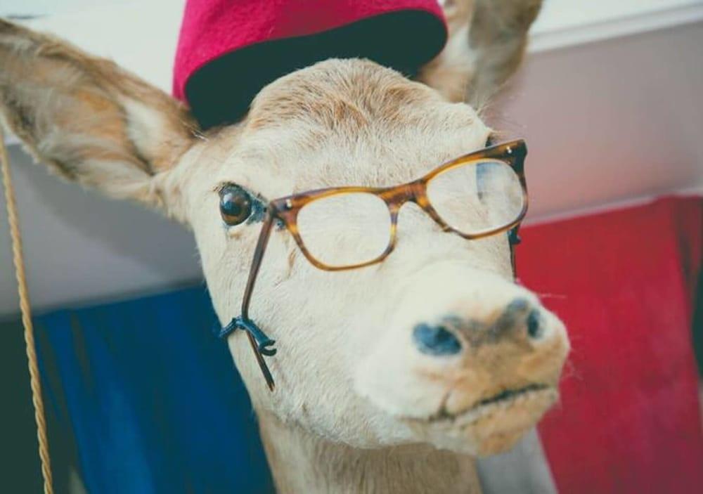 2 بد روم هاوس نيكست تو ذا سي، لوتس أوف فان! المنطقة الخارجية