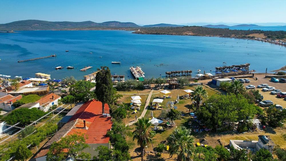 بييكلي بانسيون الصورة الأساسية