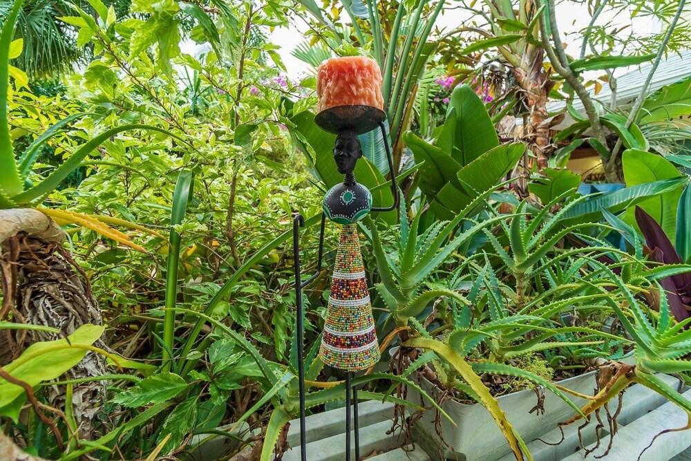 ذا سيكريت جاردن - ذا كوتيدج نير بيتش، شوبس، ريستورانتس، بيت فريندل، كلوس تو لوسيرن أفيي! الصورة الأساسية